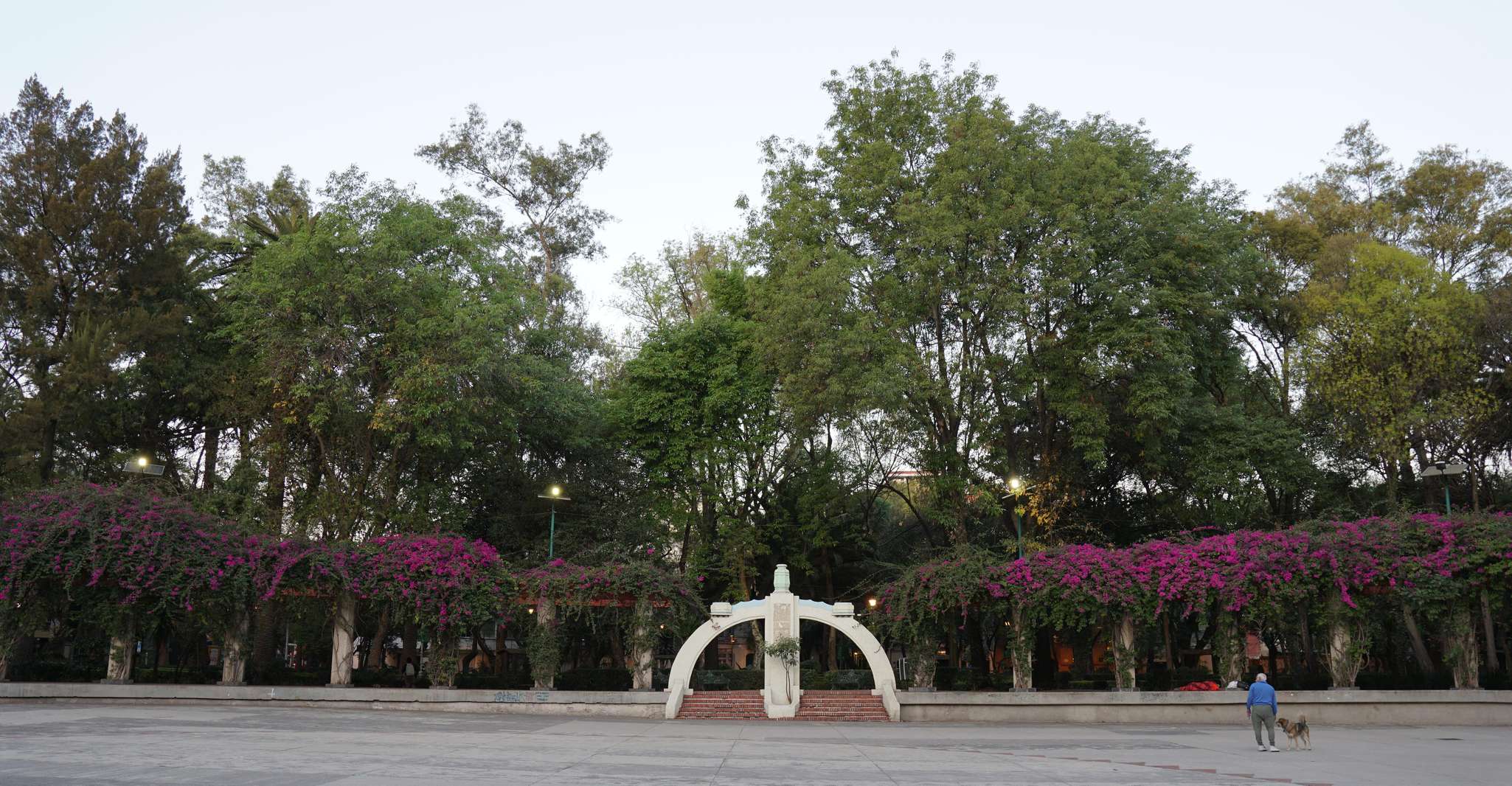 Mexico City: 19 City Highlights Bicycle Tour — photo 3