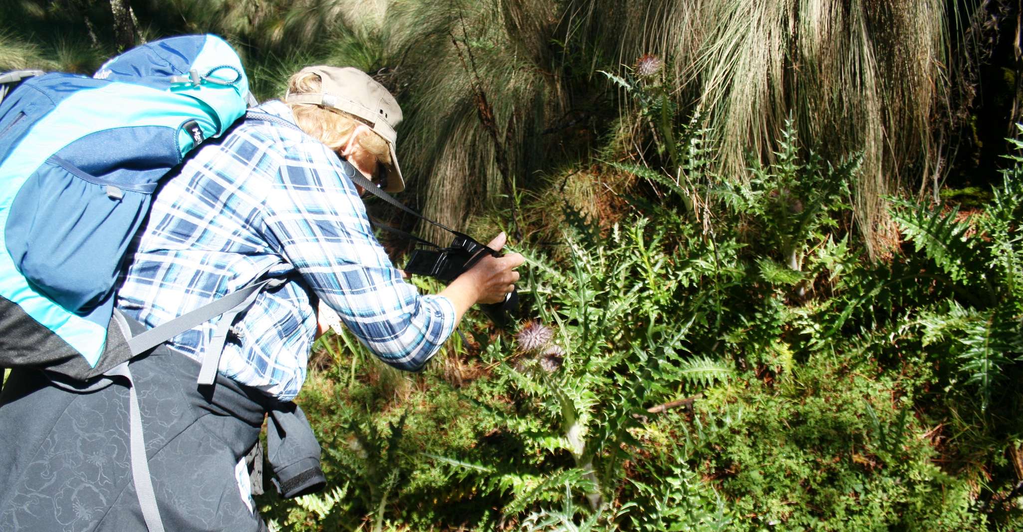 Mexico City: Guided Volcano Trek with Lunch — photo 3