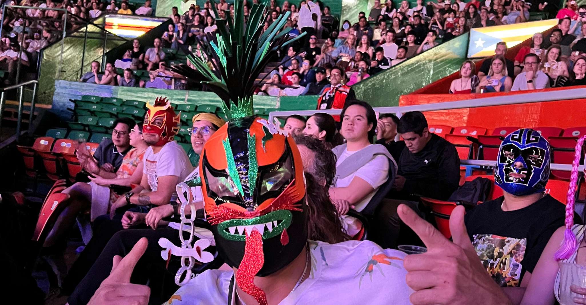 ⭐️Design your Lucha Libre Masks and Let’s to the Live Show!!