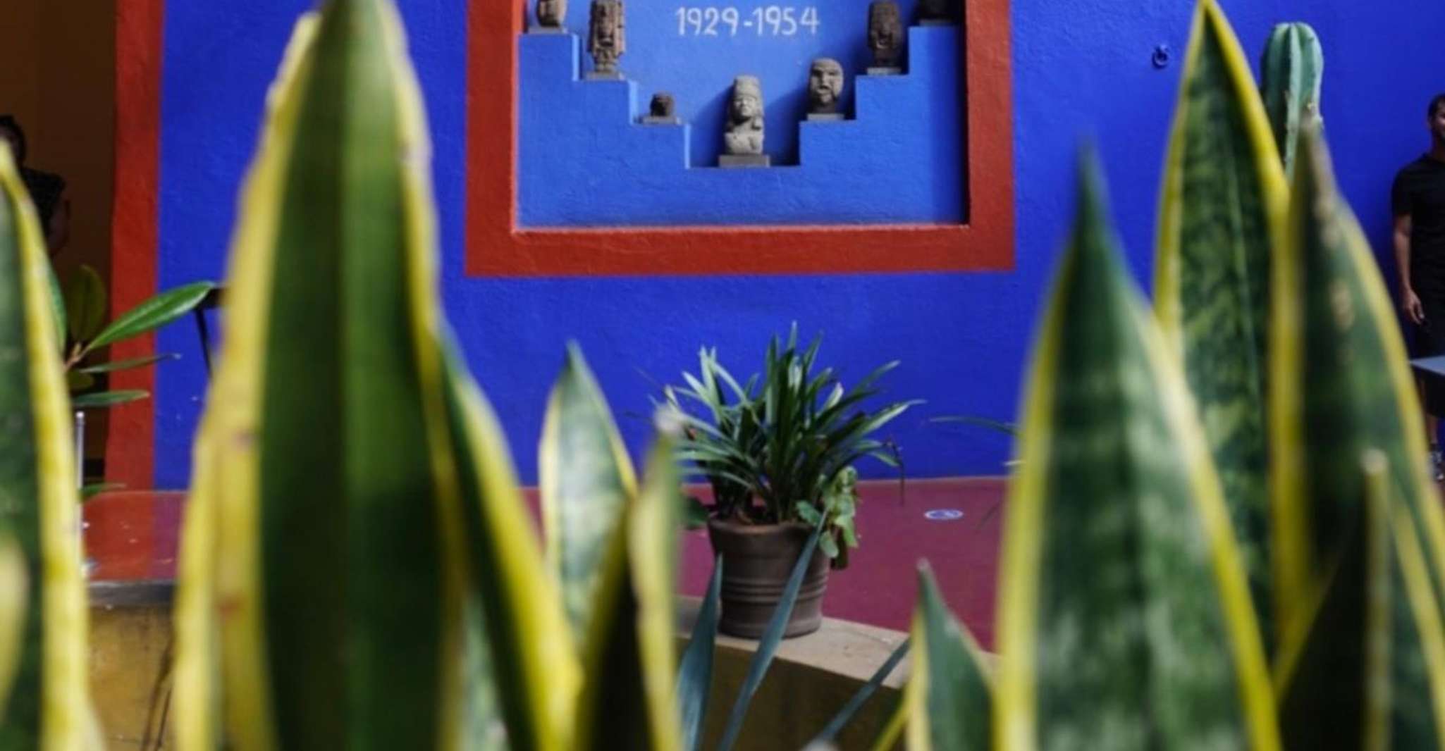 Mexico City: Frida Kahlo Museum Tour — photo 1