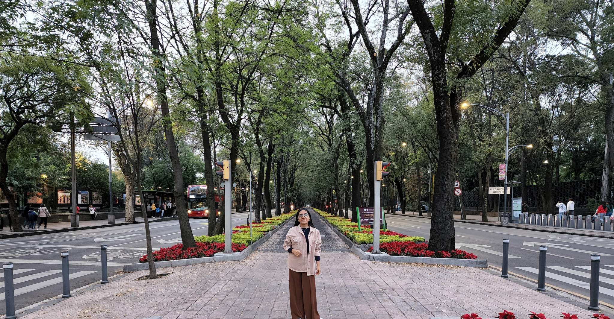 Mexico City: 19 City Highlights Bicycle Tour — photo 12