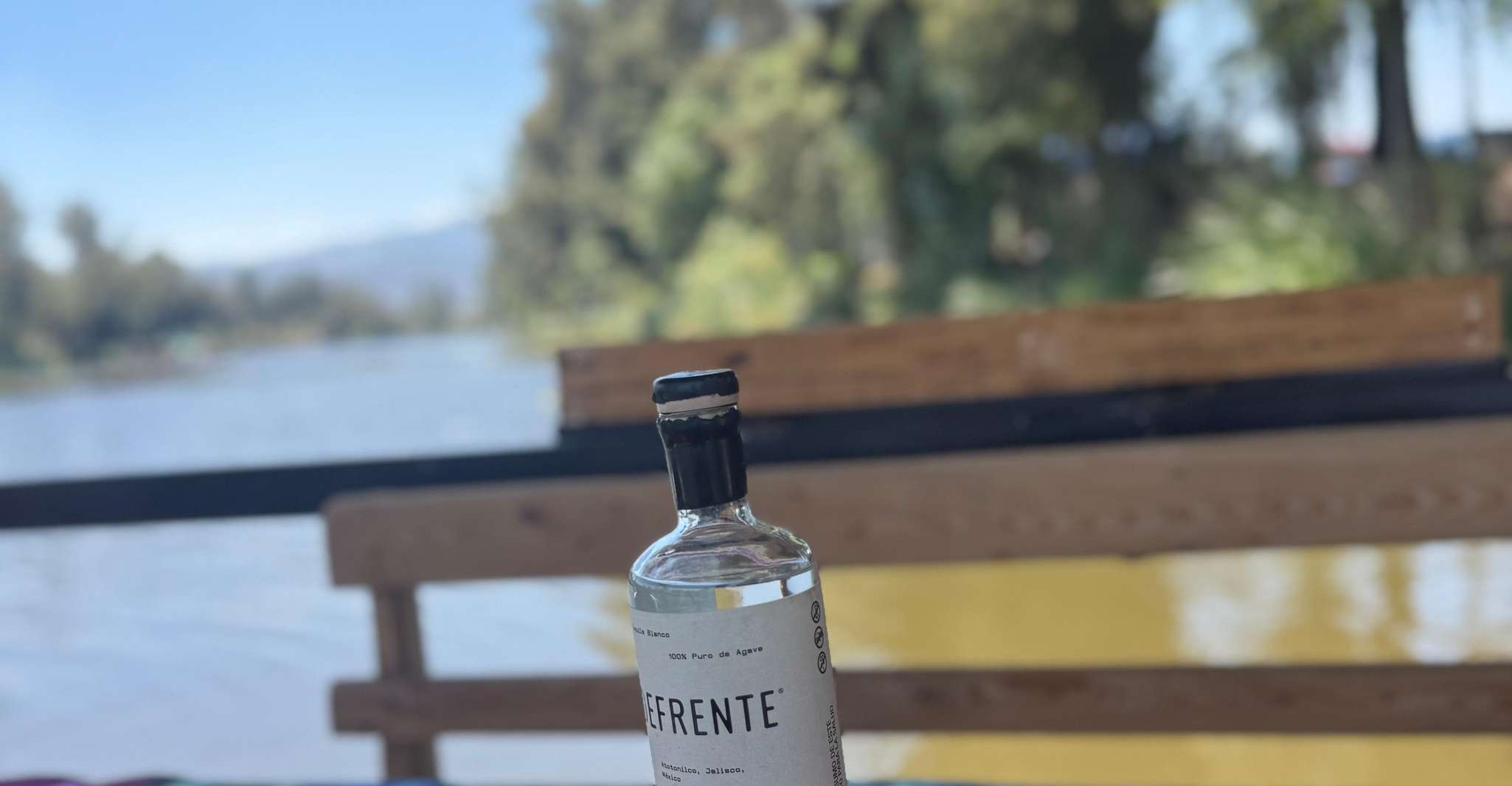 Xochimilco: Axolotl Sanctuary — photo 14