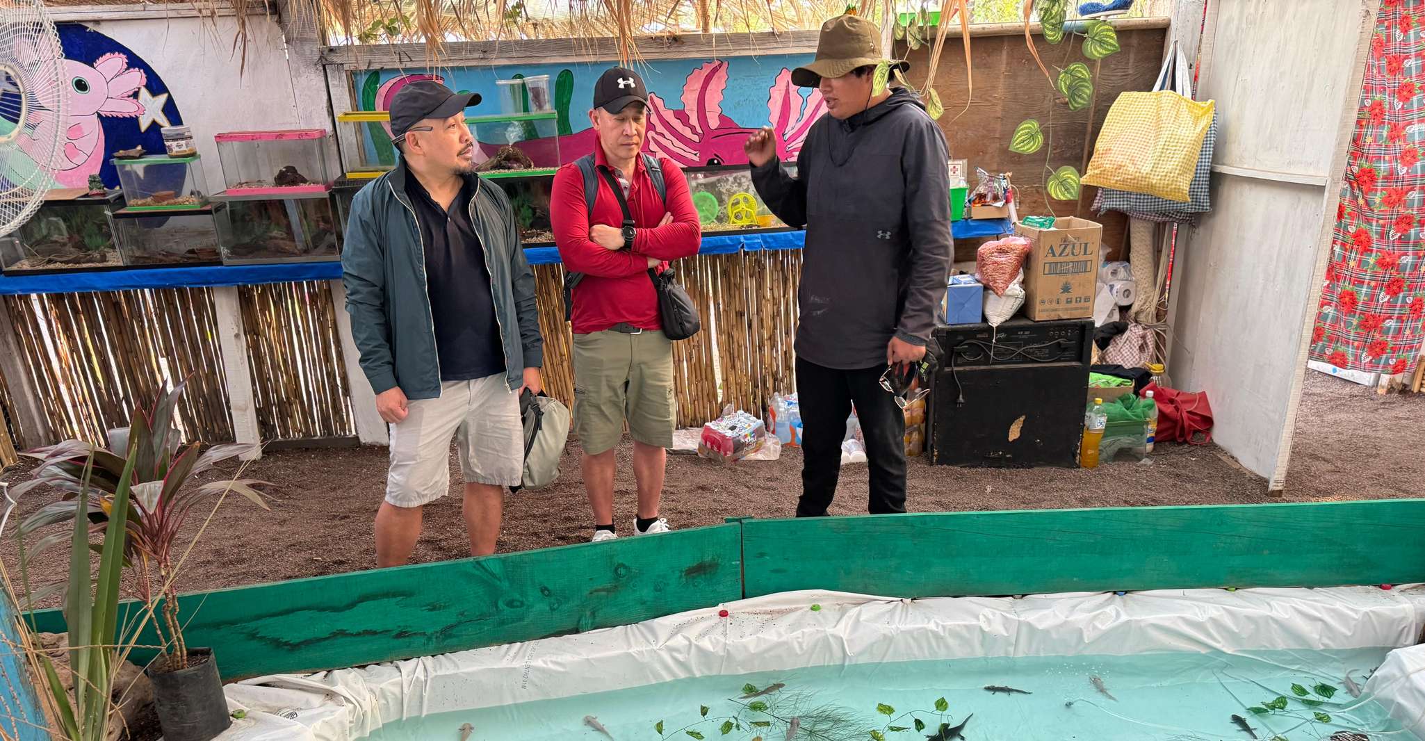 Xochimilco: Axolotl Sanctuary — photo 4