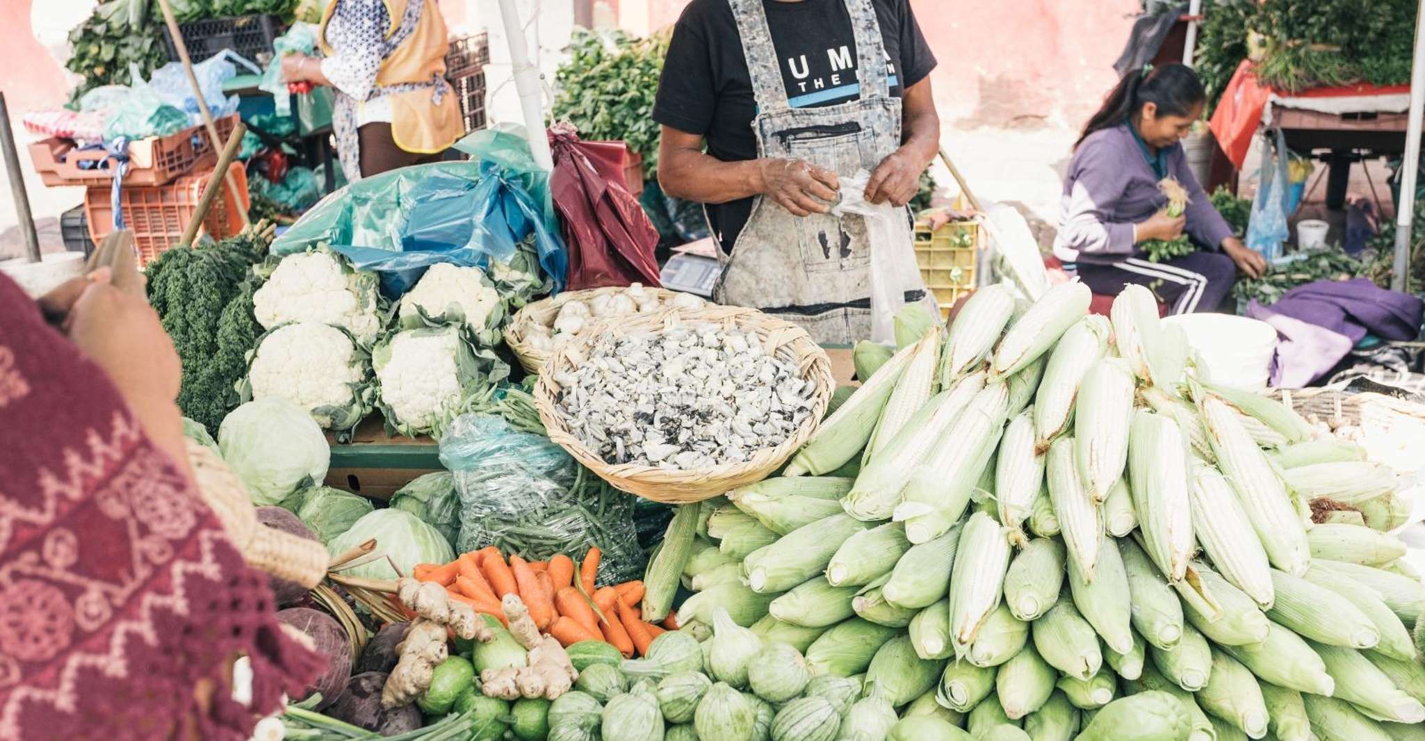 Xochimilco: Market, Food and Nature ¡All included! Tour — photo 6