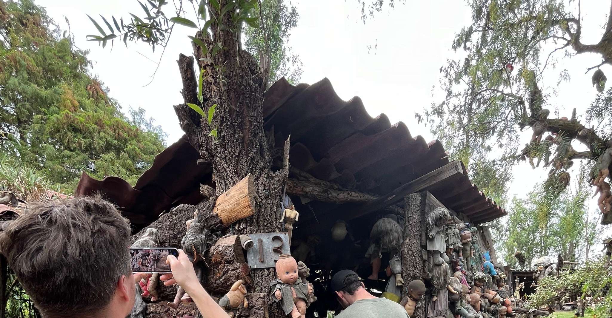 Xochimilco : Island of the dolls, tequila and mezcal CDMX — photo 23