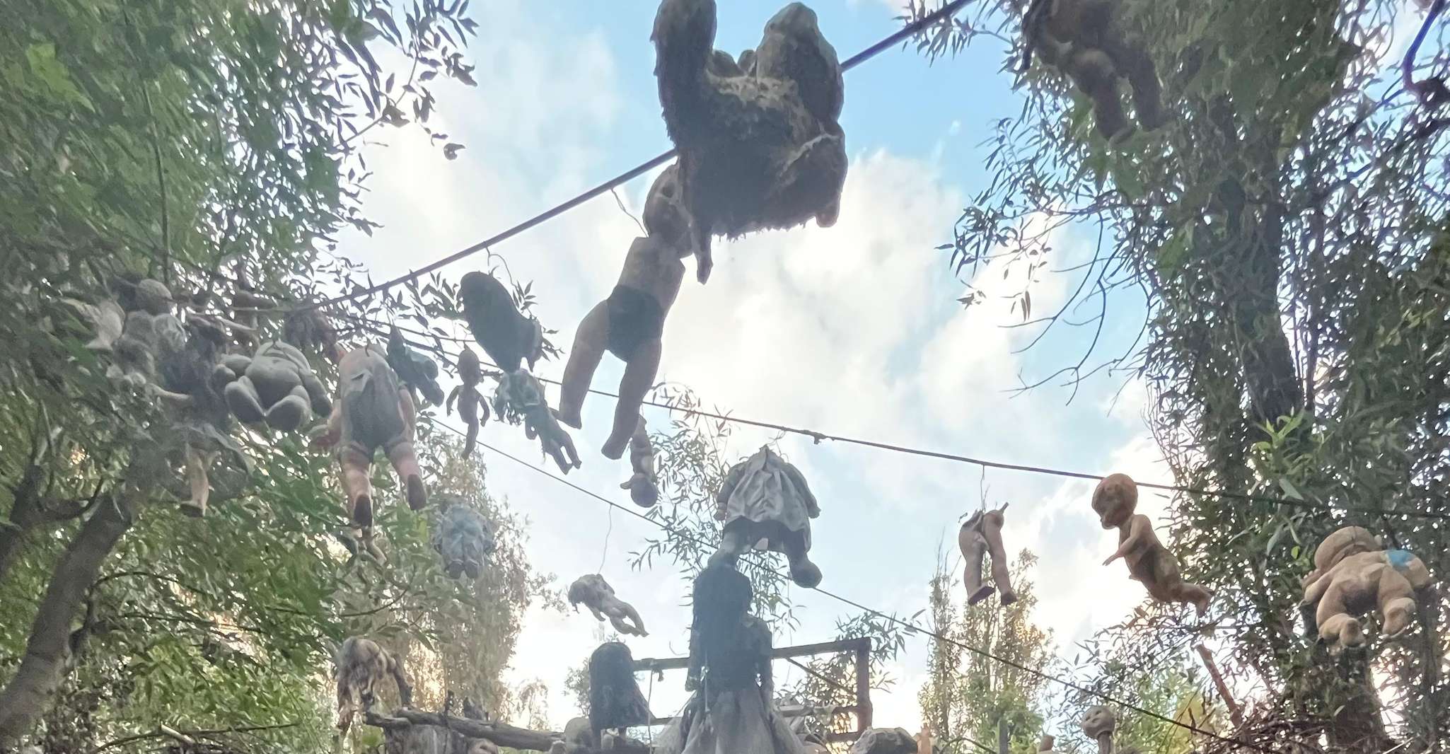 Xochimilco : Island of the dolls, tequila and mezcal CDMX — photo 12