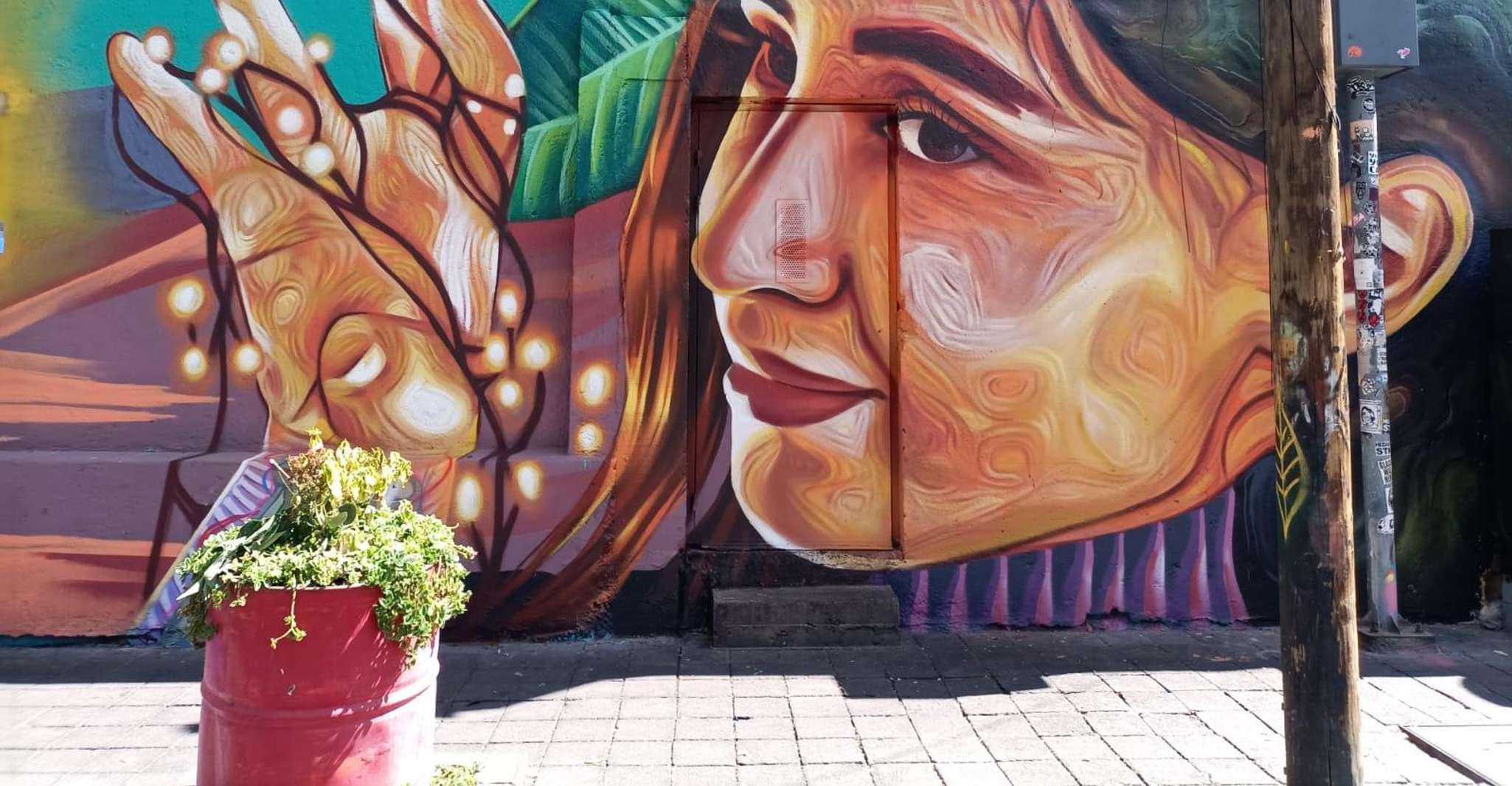 Mexico City: Art Naco, murals & street art bike tour — photo 8