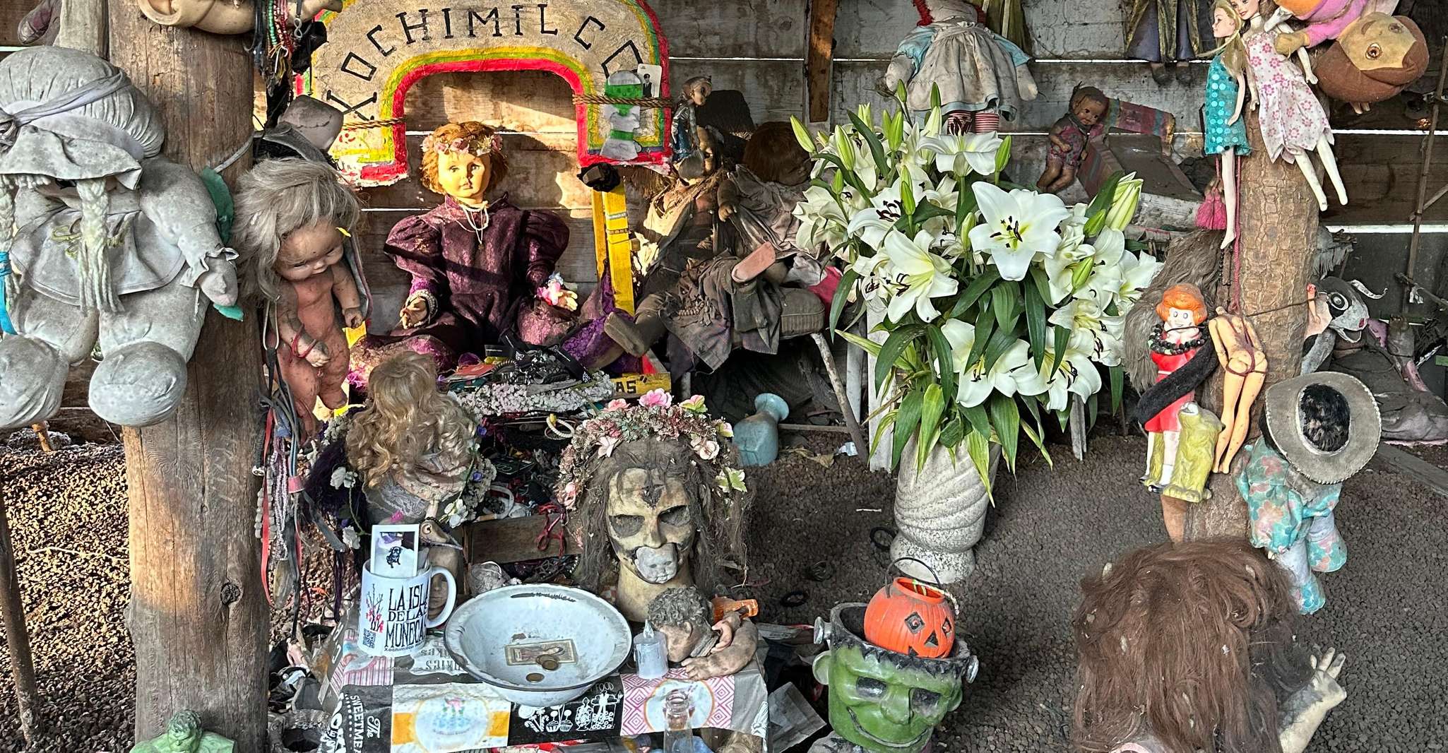 Xochimilco : Island of the dolls, tequila and mezcal CDMX — photo 26