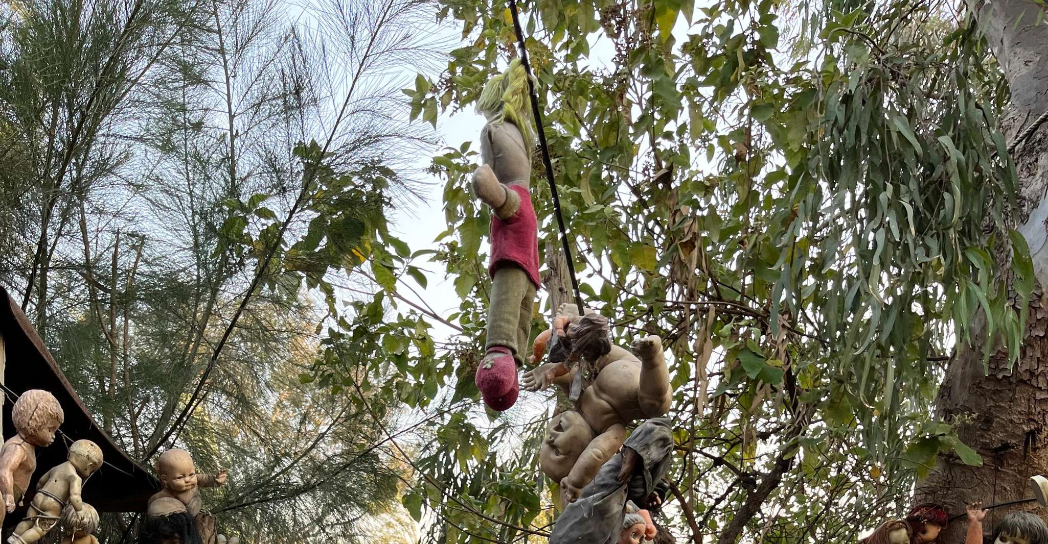 Xochimilco : Island of the dolls, tequila and mezcal CDMX — photo 6