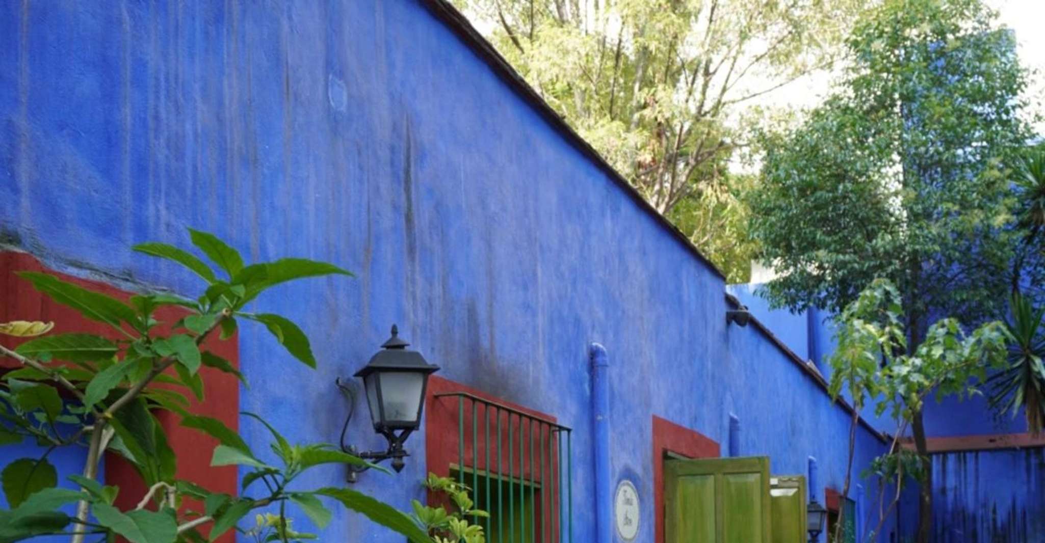 Mexico City: Frida Kahlo Museum Tour — photo 2