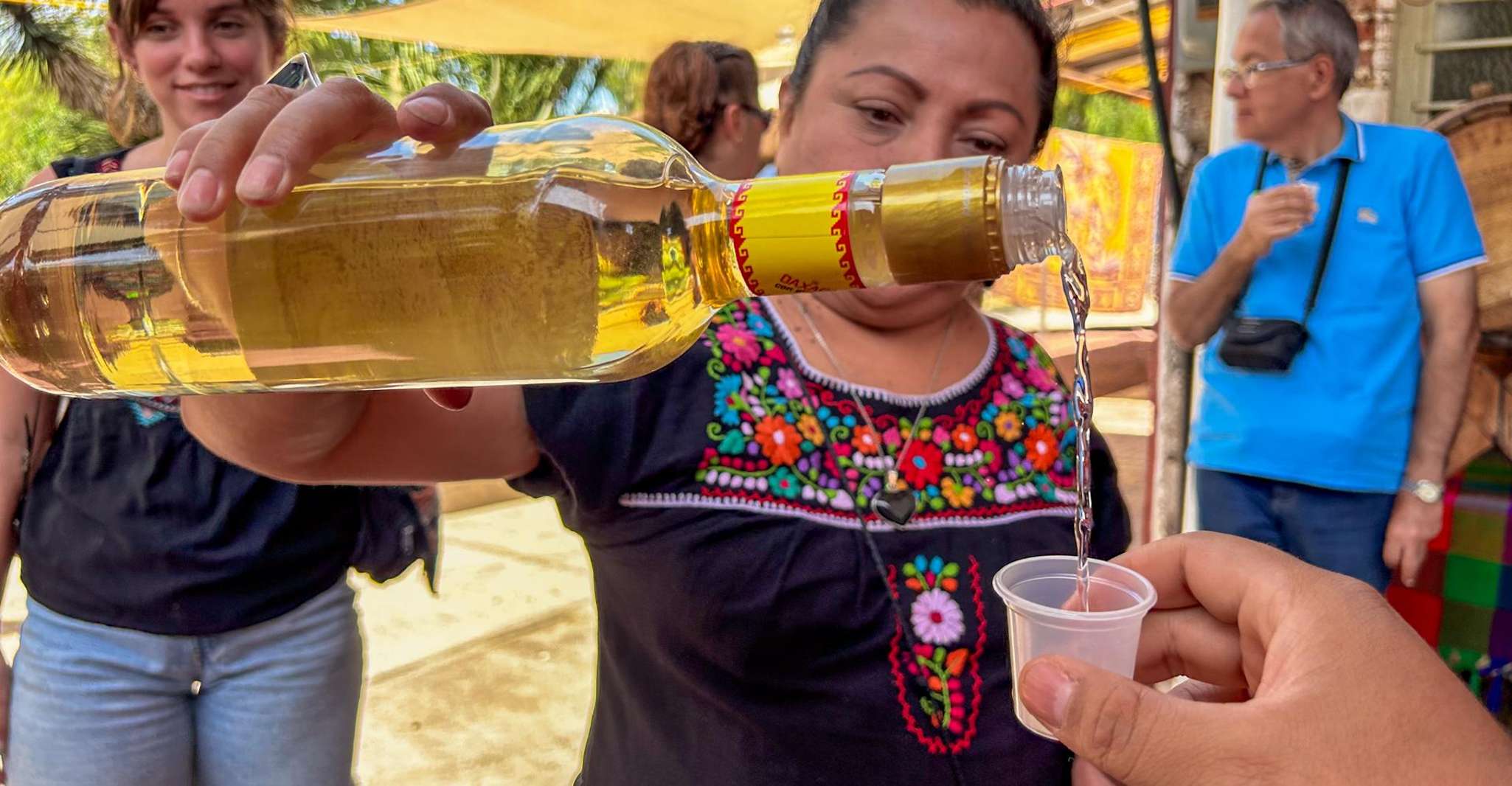 Mexico City: Teotihuacan & Guadalupe Shrine Tour with Lunch — photo 8