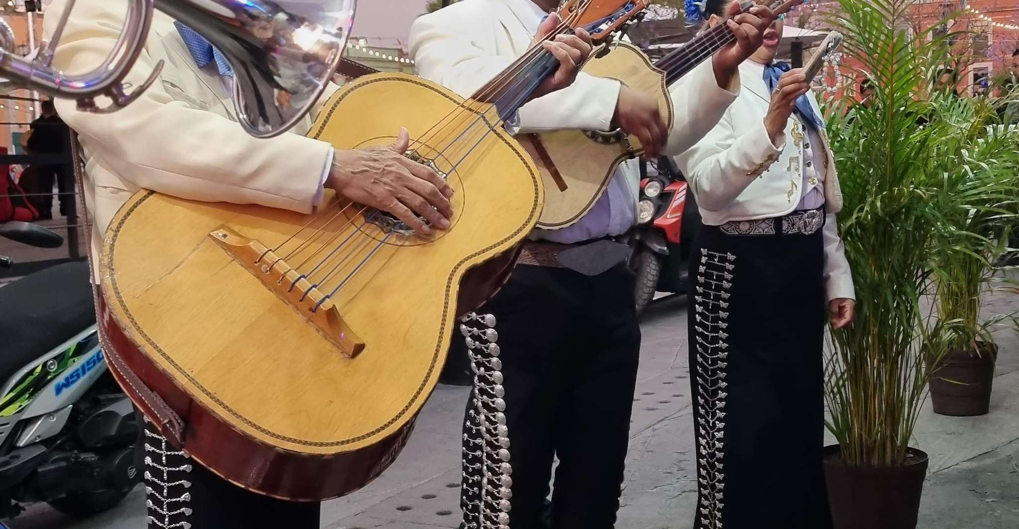 Mexico City: Mexican Evening, Wrestling, and Tequila — photo 5