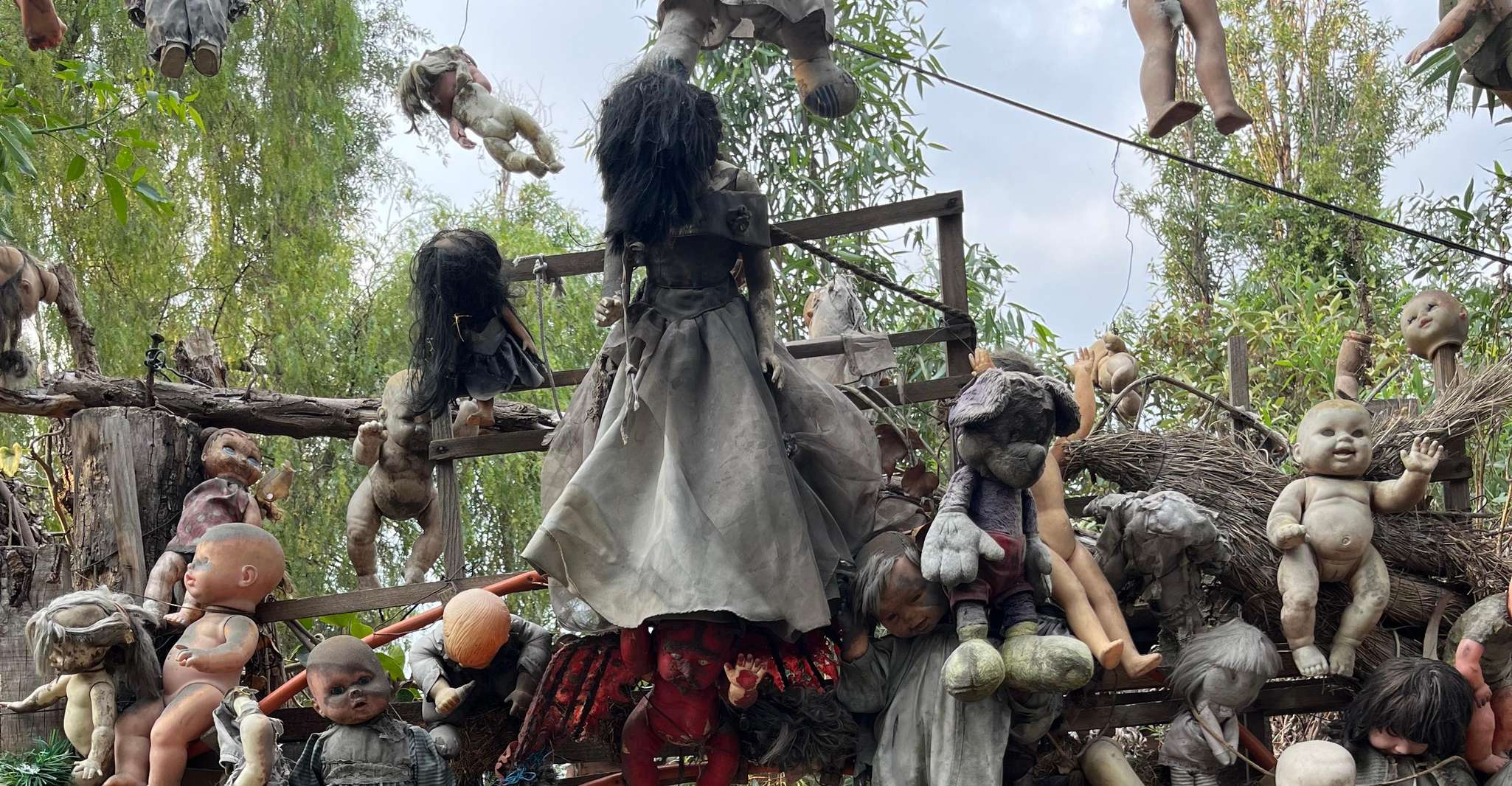 Xochimilco : Island of the dolls, tequila and mezcal CDMX — photo 13