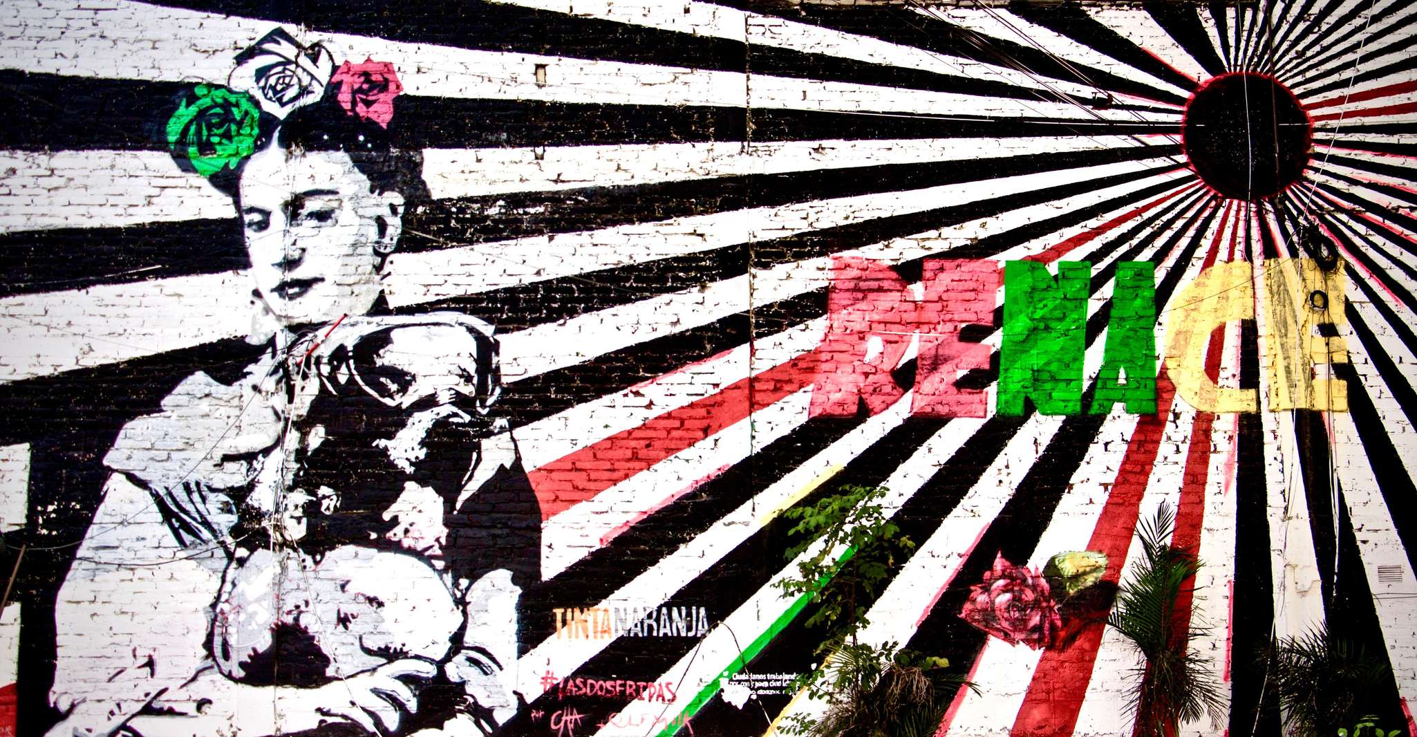 Mexico City: Old Town Food Tour of 7 Tastings & Secret Dish — photo 4