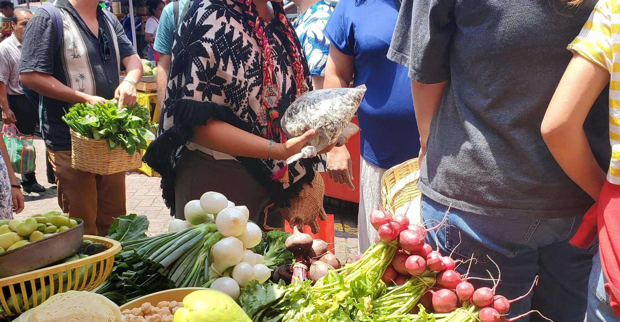 Xochimilco: Market, Food and Nature ¡All included! Tour — photo 1